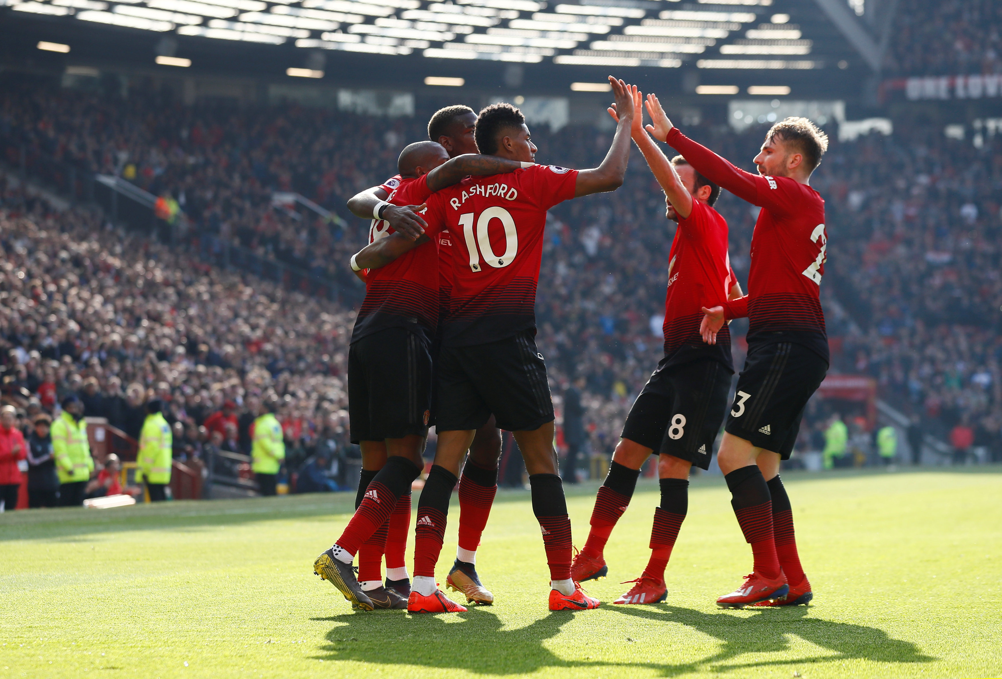 手和组织者 手和组织者