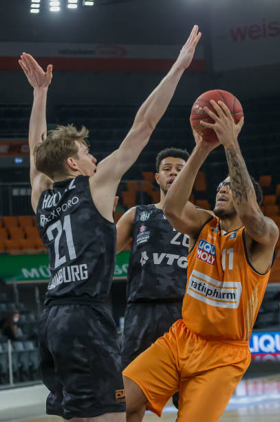 快速灵动的 快速灵动的