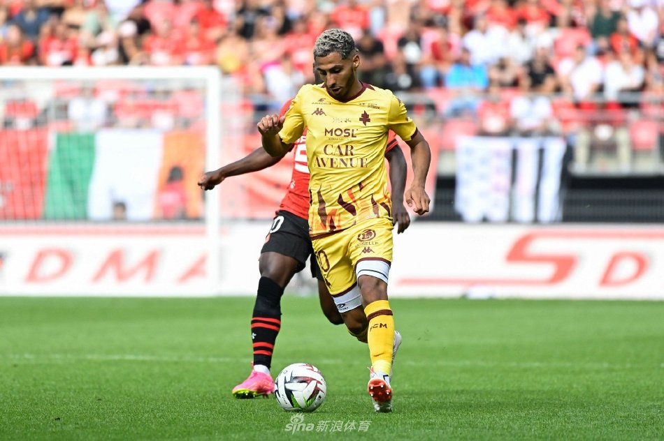 情感纽带 情感纽带